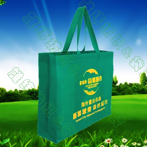 普通無(wú)紡布環(huán)保袋 普通無(wú)紡布環(huán)保袋