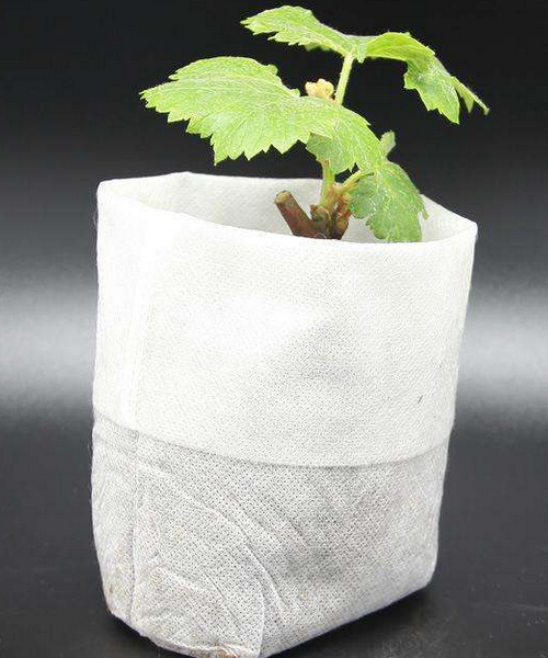 無(wú)紡布育苗袋 無(wú)紡布育苗袋