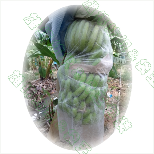 無紡布水果套袋 無紡布水果套袋